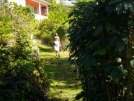 laurie_Jamaica_014