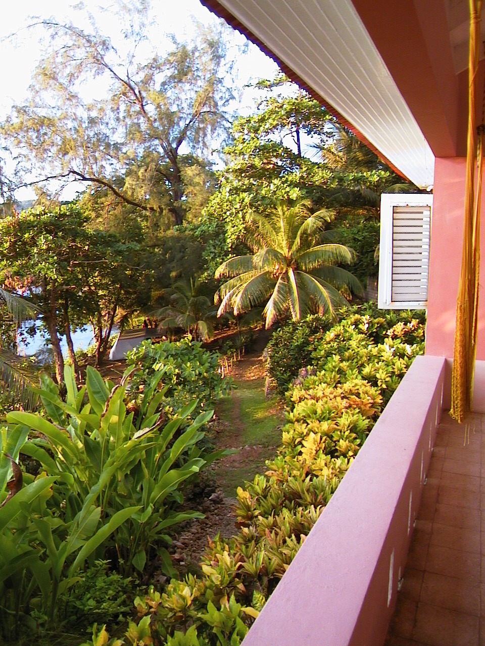 View from Veranda