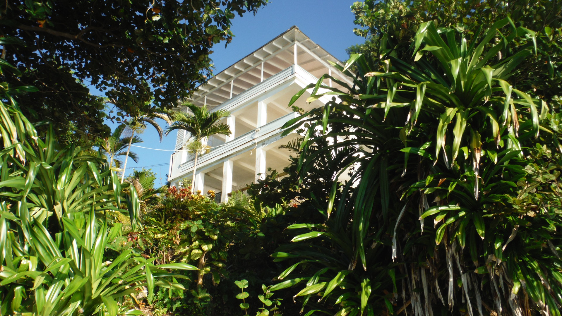 The Importance of Happiness Noël Coward and the Actors' Orphanage